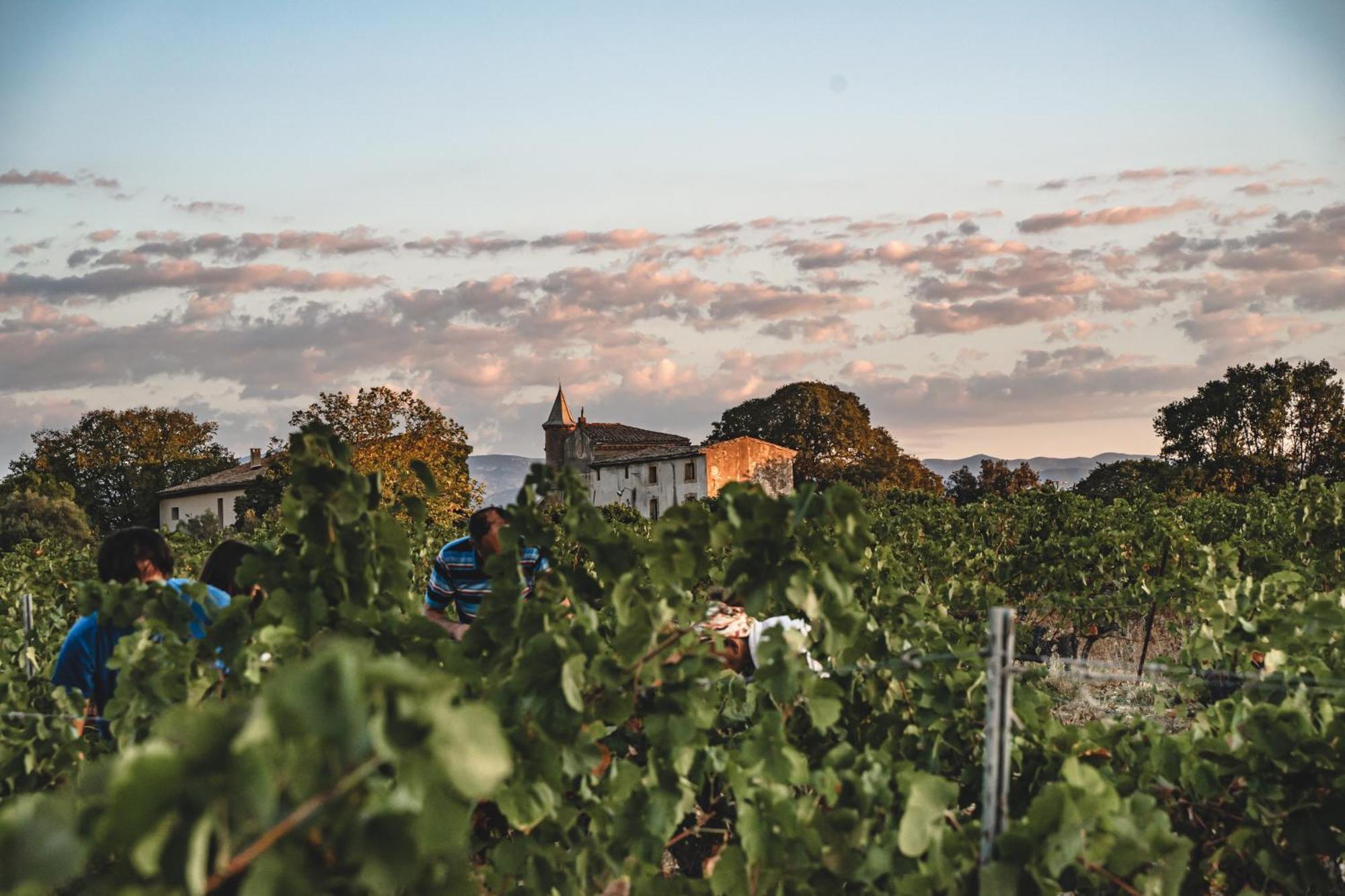 Domaine De Pelican Gignac  Luaran gambar