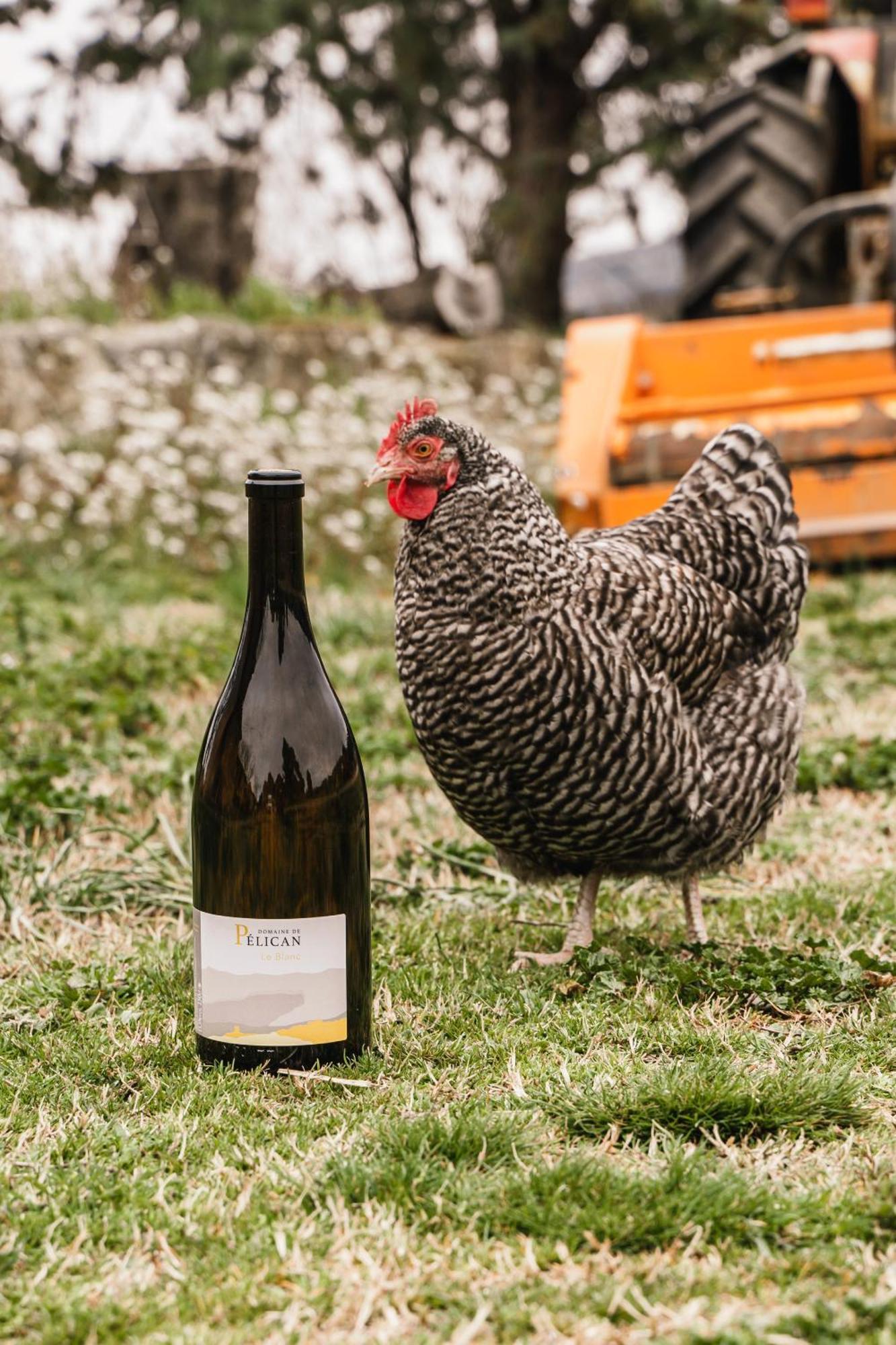 Domaine De Pelican Gignac  Luaran gambar