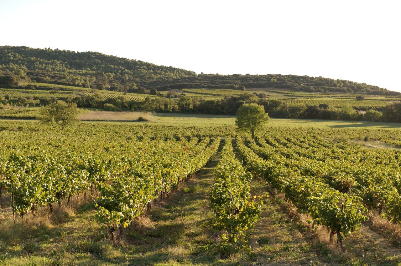 Domaine De Pelican Gignac  Luaran gambar