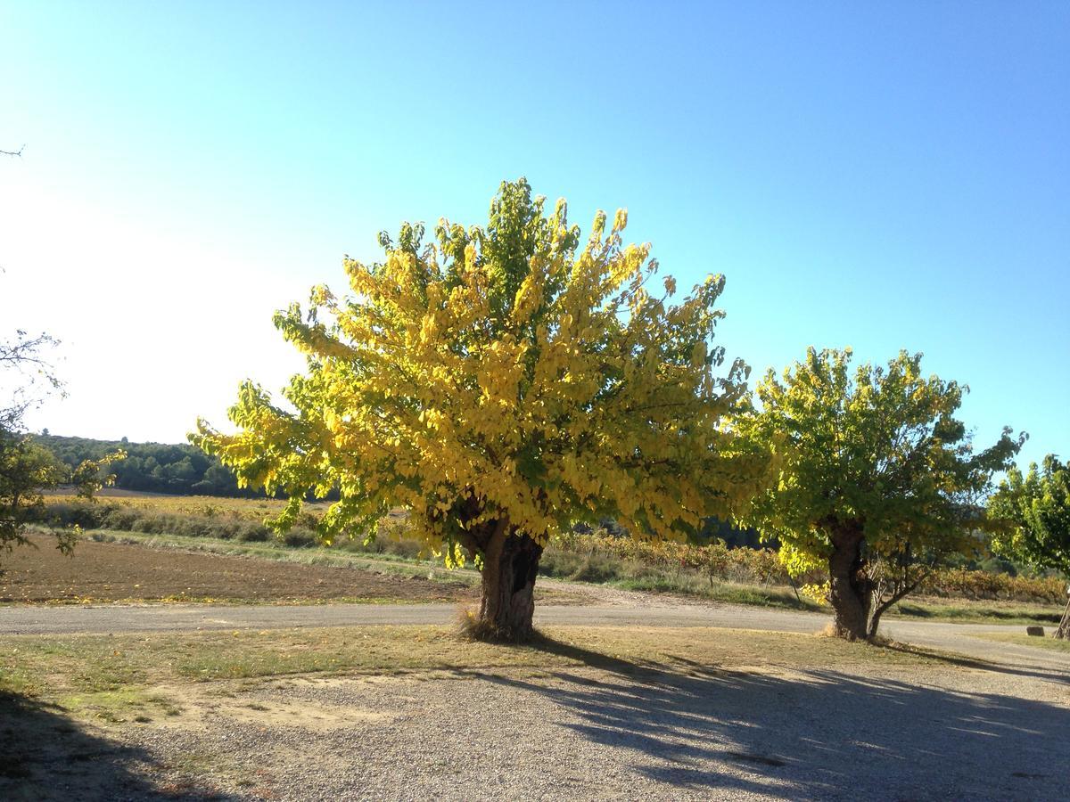 Domaine De Pelican Gignac  Luaran gambar